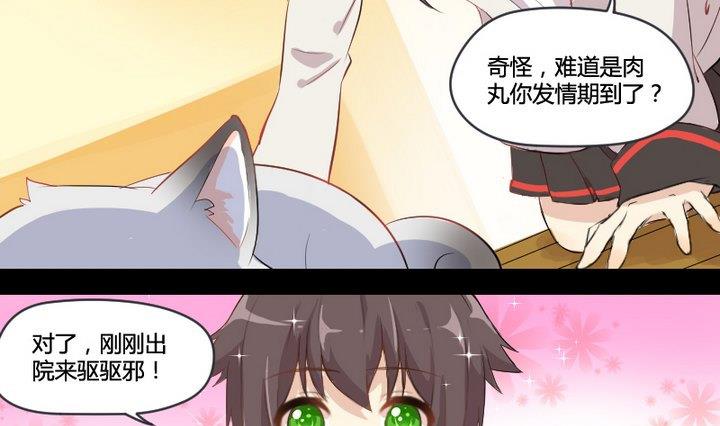 《生肖萌战记》第1话 生肖狱犭 第22页