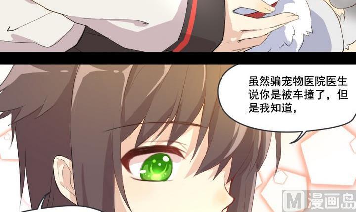 《生肖萌战记》第1话 生肖狱犭 第27页