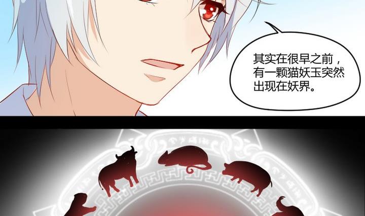 《生肖萌战记》第6话 交易成立！ 第11页