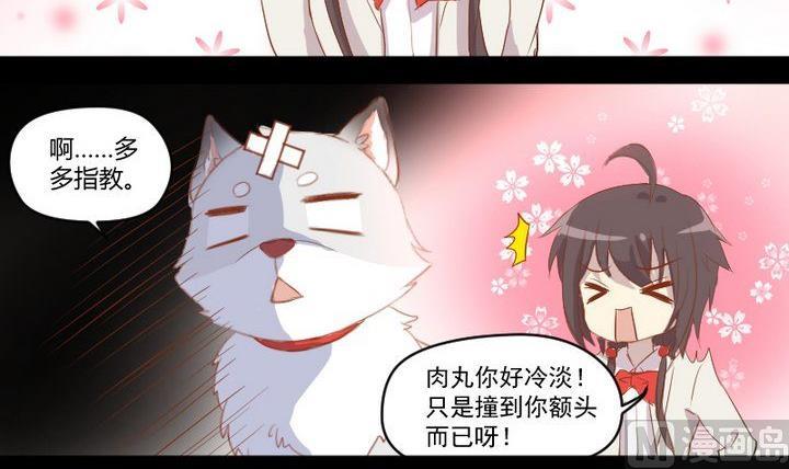 《生肖萌战记》第7话 我叫毛小妖 第3页