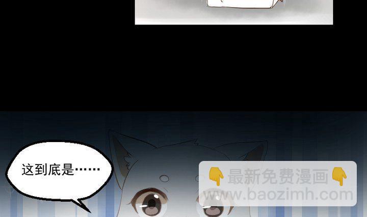 《生肖萌战记》第16话 九狸的过去 第4页