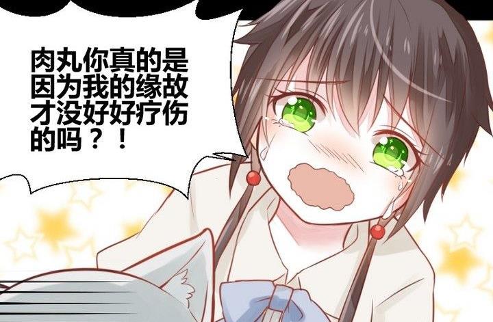 《生肖萌战记》第29话 心疼肉丸！ 第50页