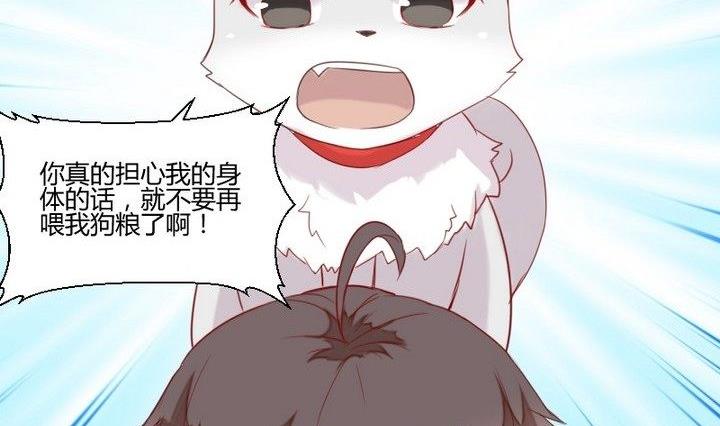 《生肖萌战记》第30话 虎=菟 第11页