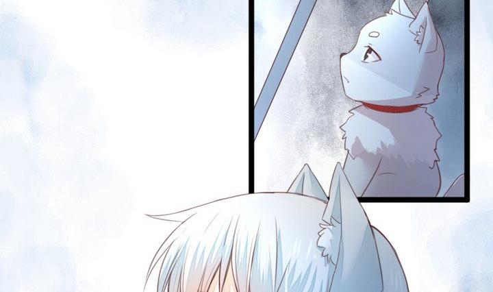 《生肖萌战记》第37话 稀月的计划 第14页