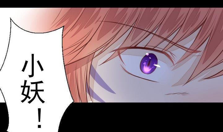《生肖萌战记》第41话 弱小 第44页