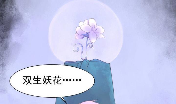 《生肖萌战记》第38话 双生妖花 第29页