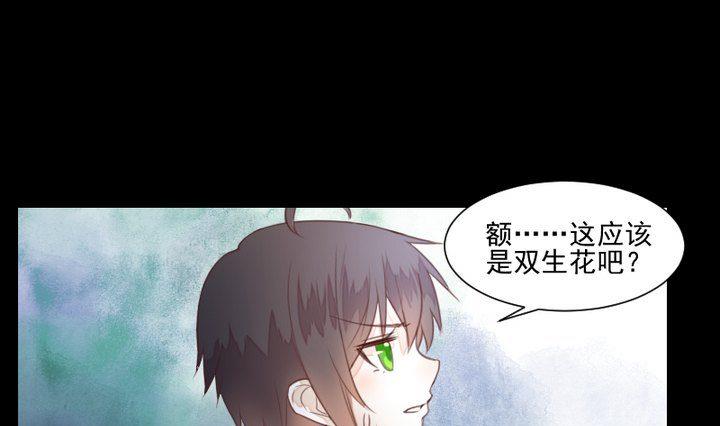 《生肖萌战记》第38话 双生妖花 第43页