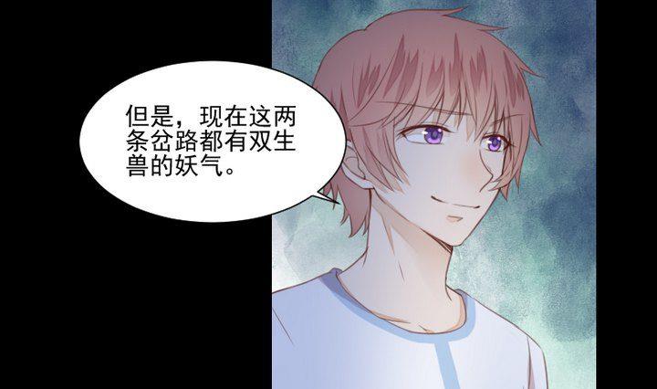 《生肖萌战记》第38话 双生妖花 第4页