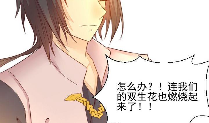 《生肖萌战记》第42话 燃烧的花 第35页