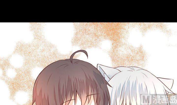 《生肖萌战记》第44话 猫妖 第15页