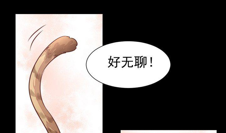 《生肖萌战记》第44话 猫妖 第1页