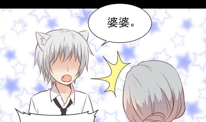 《生肖萌战记》第44话 猫妖 第47页