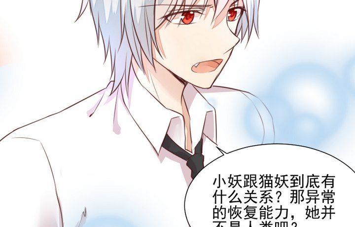 《生肖萌战记》第44话 猫妖 第49页
