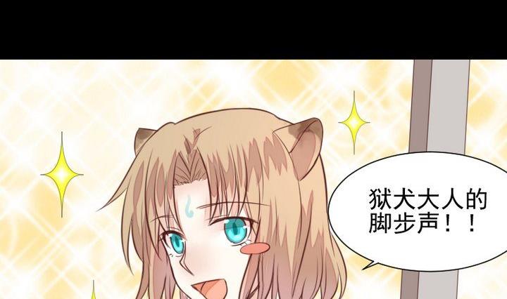 《生肖萌战记》第44话 猫妖 第8页