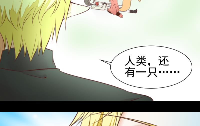 《生肖萌战记》第52话 玉京子的能力 第50页