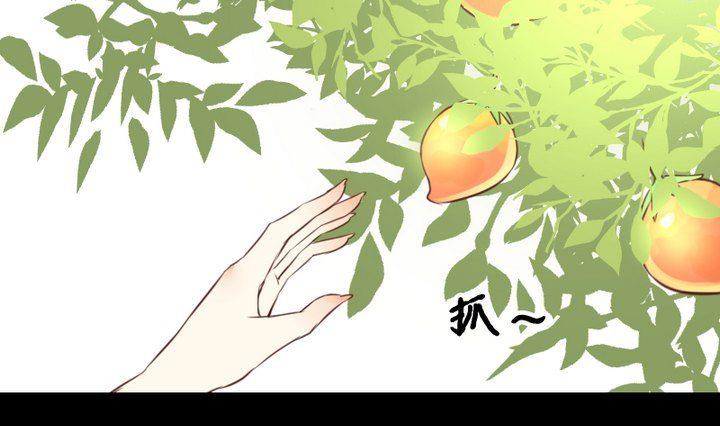 《生肖萌战记》第53话 果实 第1页
