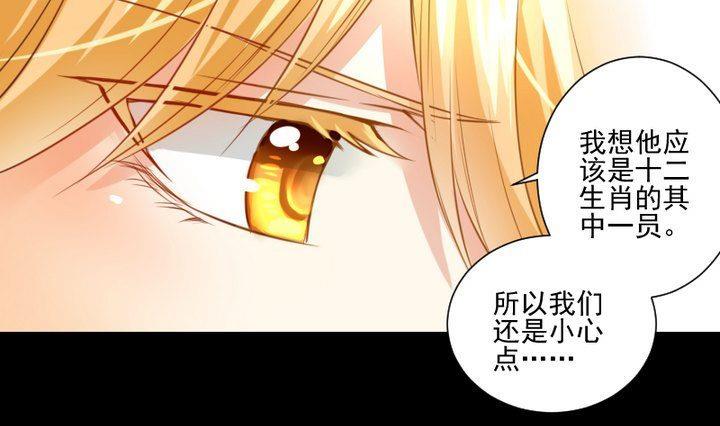 《生肖萌战记》第61话 兔子的初恋 第7页