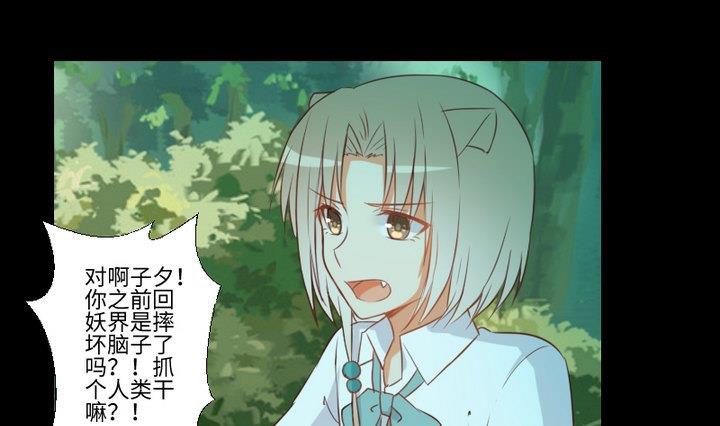 《生肖萌战记》第92话 犭猫鼠的“三角恋” 第31页
