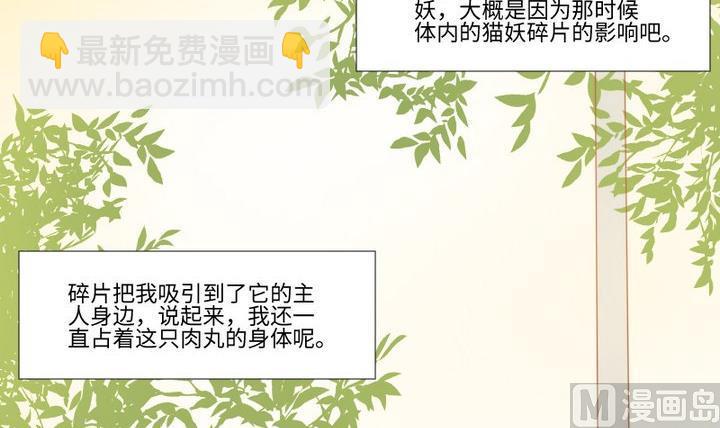 《生肖萌战记》第91话 天铃 第18页