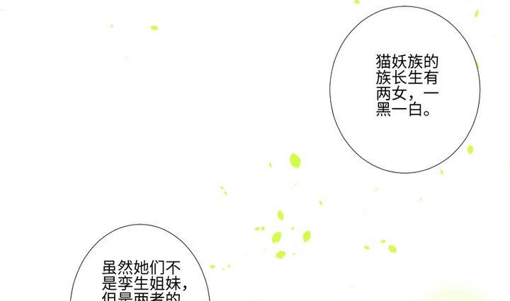 《生肖萌战记》第94话 猫捉老鼠 第19页