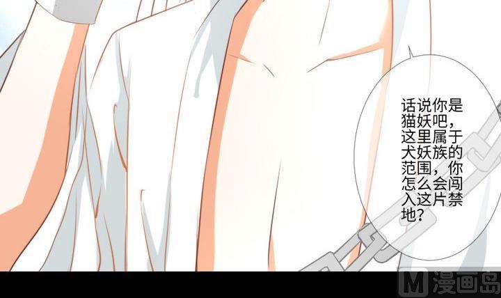《生肖萌战记》第98话 萝莉控养成 第18页