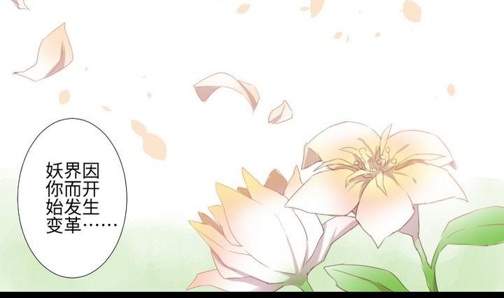 《生肖萌战记》第104话 天空下的小小倔强 第20页