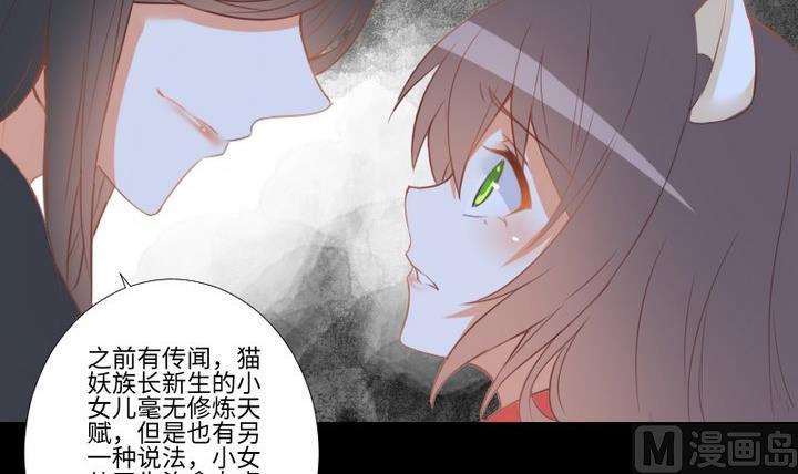 《生肖萌战记》第104话 天空下的小小倔强 第3页