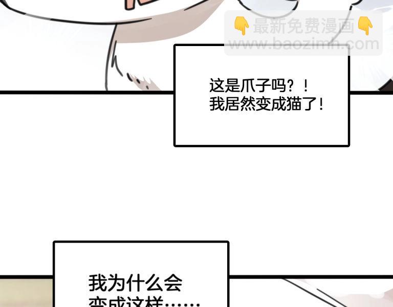 《山有木兮悦君心》第7话 我变成猫了？ 第17页