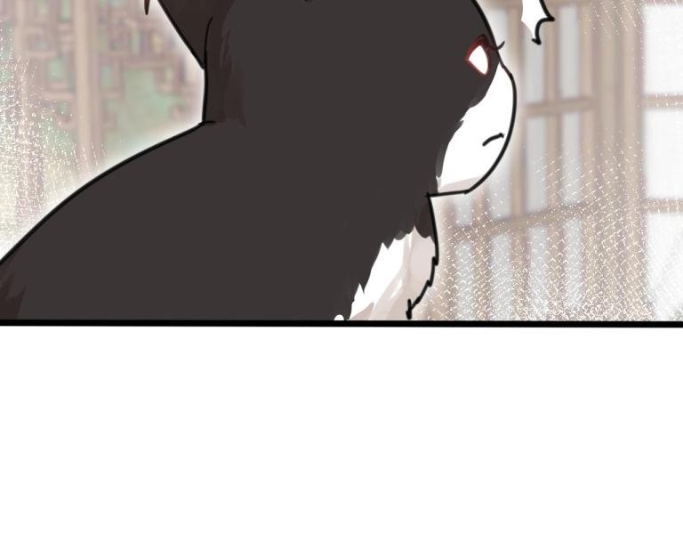 《山有木兮悦君心》第7话 我变成猫了？ 第19页