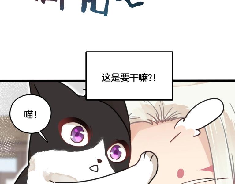 《山有木兮悦君心》第7话 我变成猫了？ 第35页