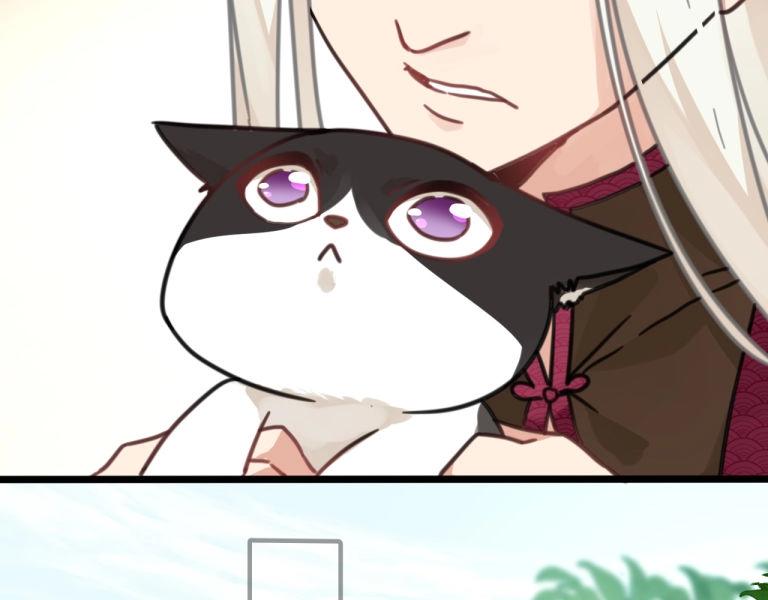 《山有木兮悦君心》第7话 我变成猫了？ 第44页