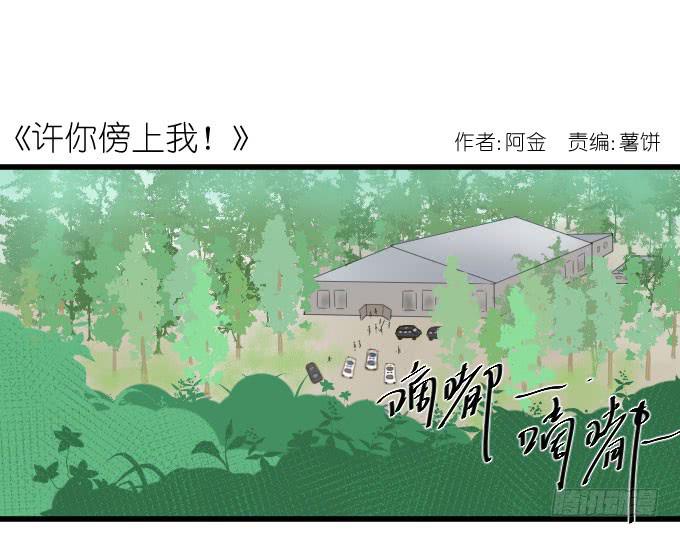 《许你傍上我》大卫卫导演？ 第1页