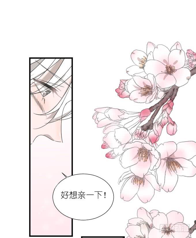 《许你傍上我》好想亲她一口 第21页