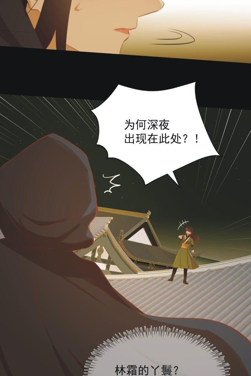 《魅姬》【六十八】黑衣人 第20页