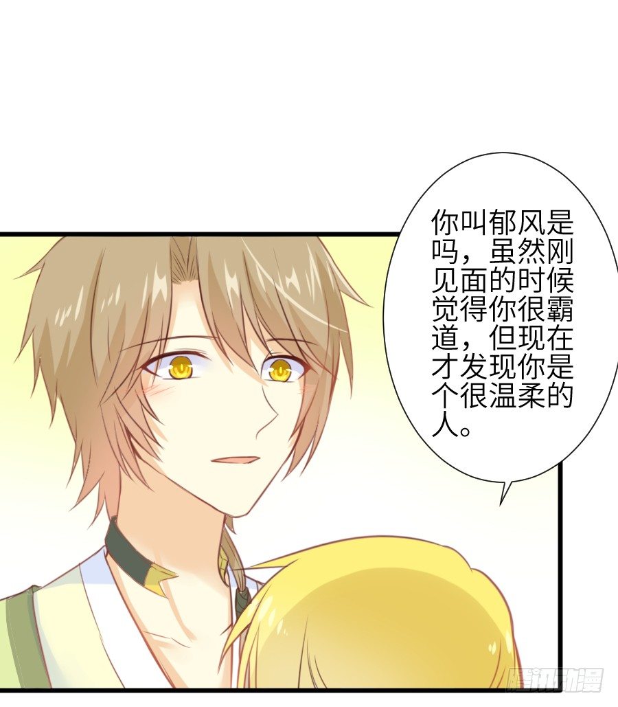 《王的初拥》霸道王爷的俏丫鬟 第36页
