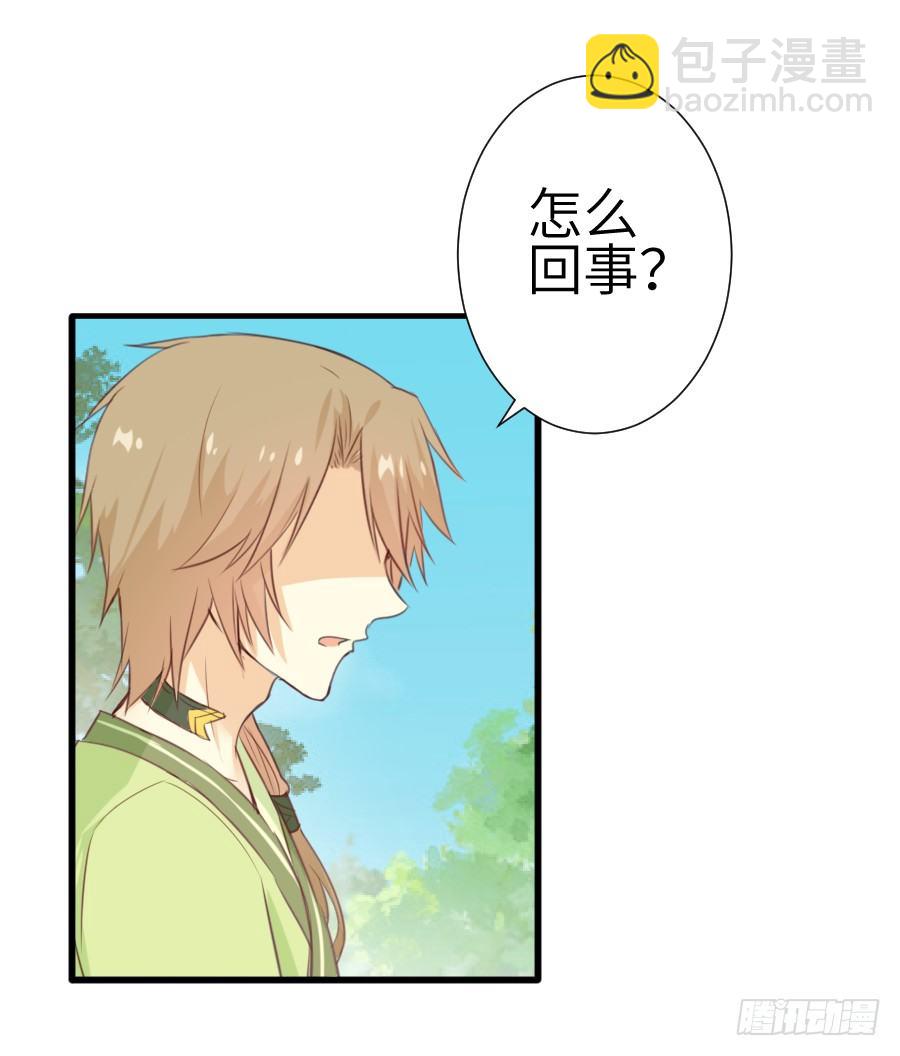 《王的初拥》霸道王爷的俏丫鬟 第3页