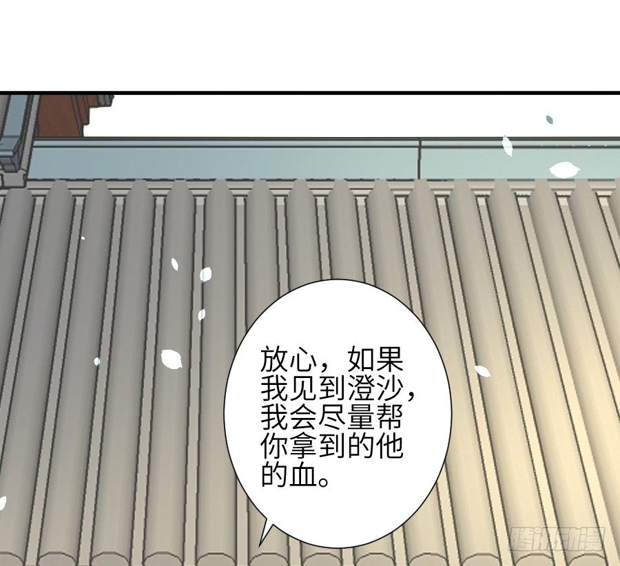 《王的初拥》求婚？！！ 第34页
