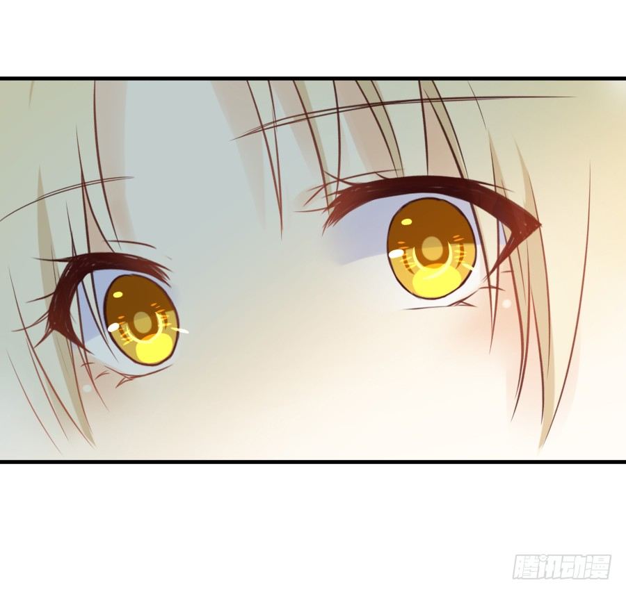 《王的初拥》第三个纯种血族大佬 第29页