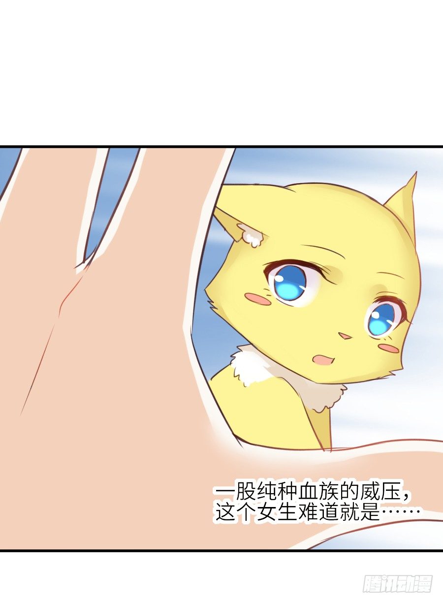 《王的初拥》哥哥养你一辈子 第20页