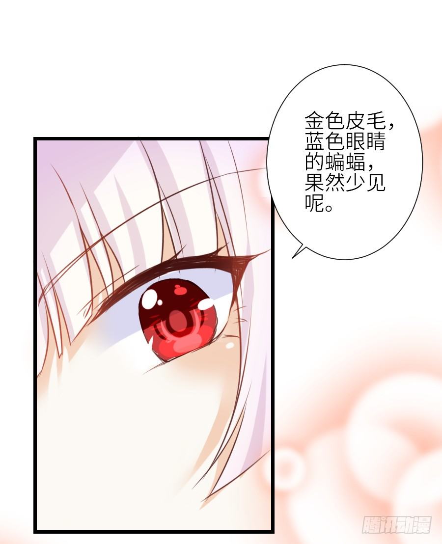 《王的初拥》哥哥养你一辈子 第22页