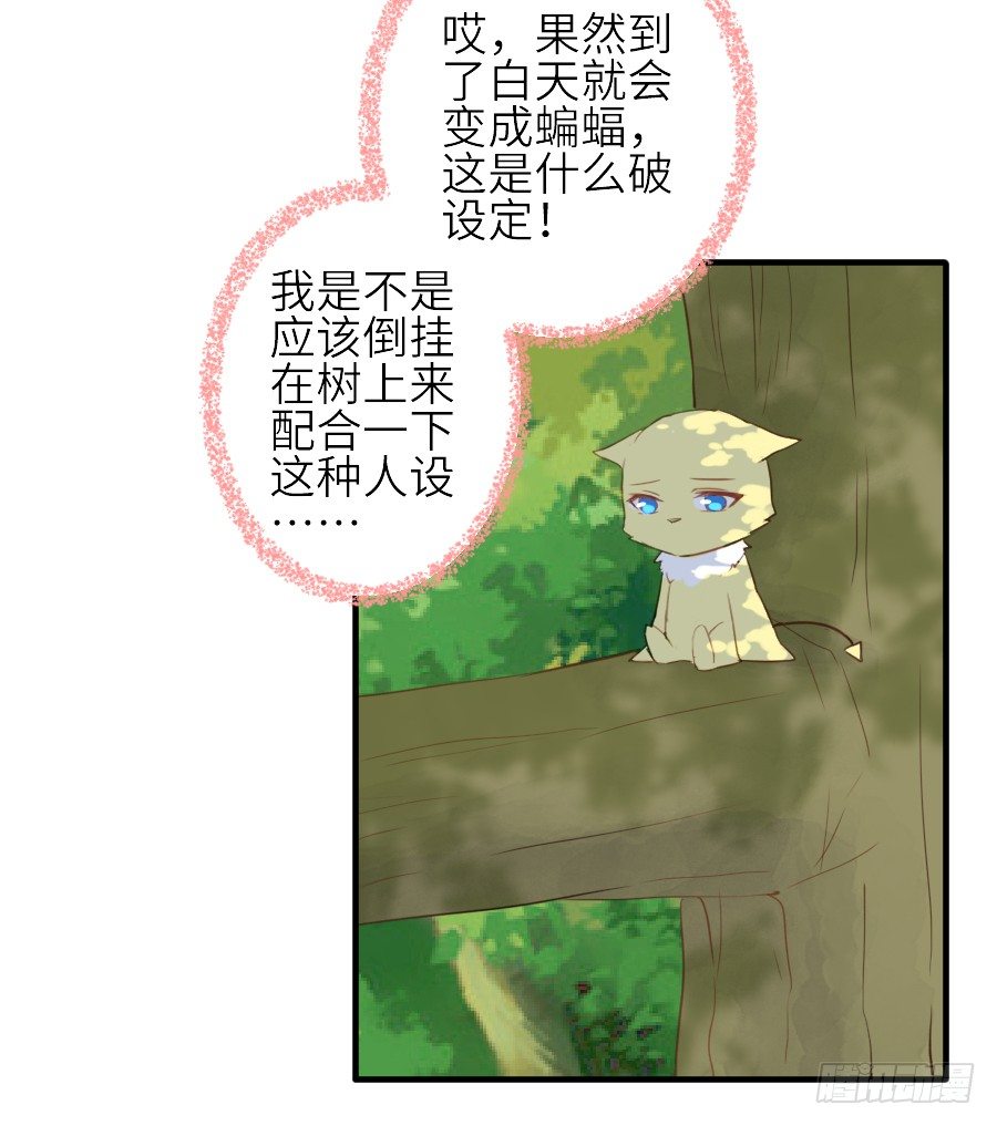 《王的初拥》男主就应该有不输于女主的桃花 第14页
