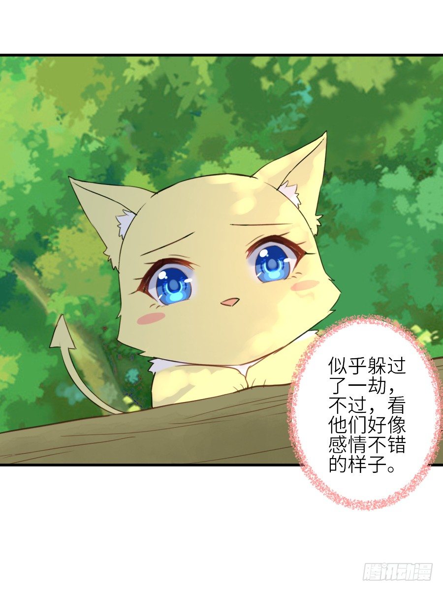 《王的初拥》男主就应该有不输于女主的桃花 第42页