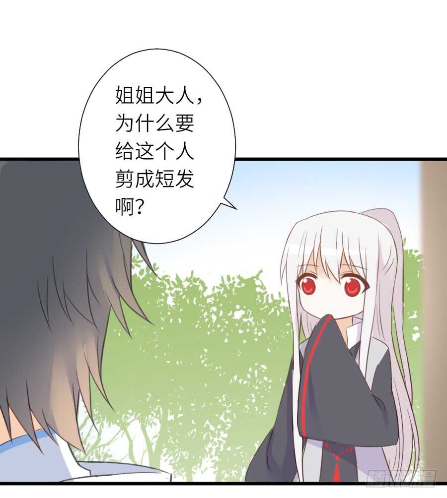 《王的初拥》他们的回忆 第12页