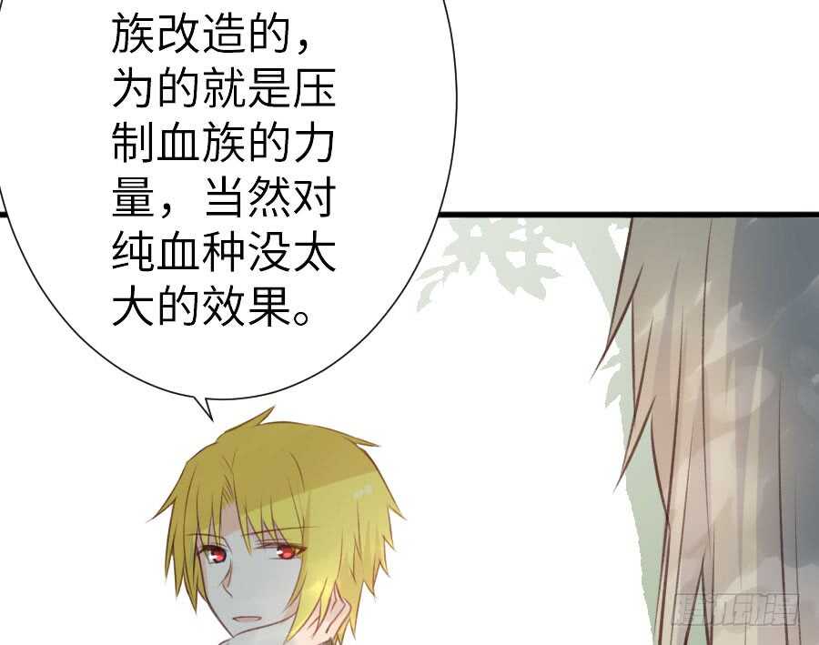 《王的初拥》腐眼看人基 第14页
