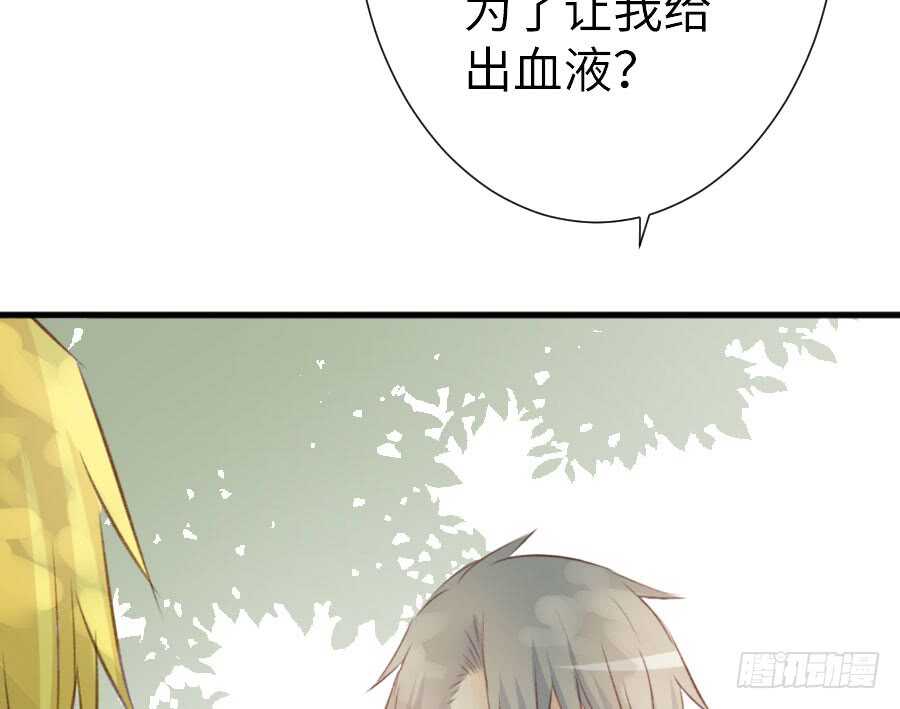 《王的初拥》腐眼看人基 第17页