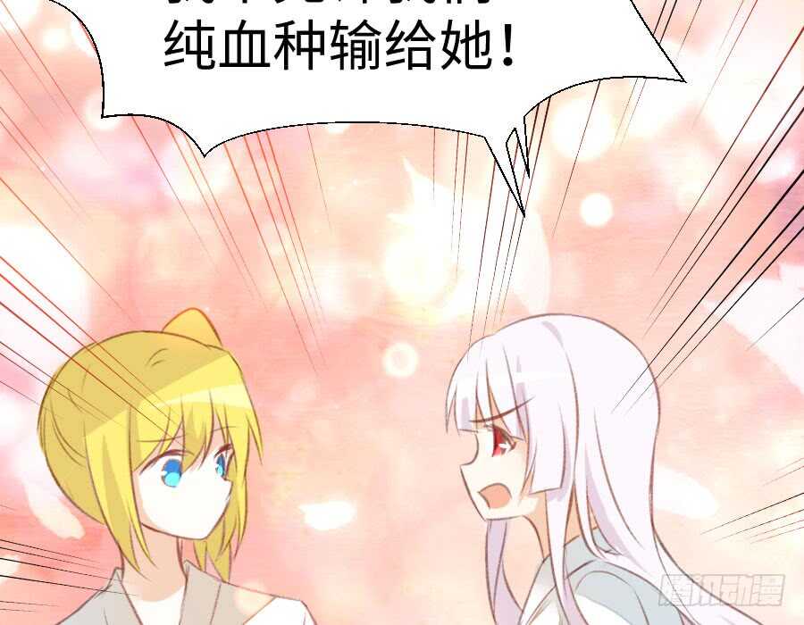《王的初拥》冲突 第13页