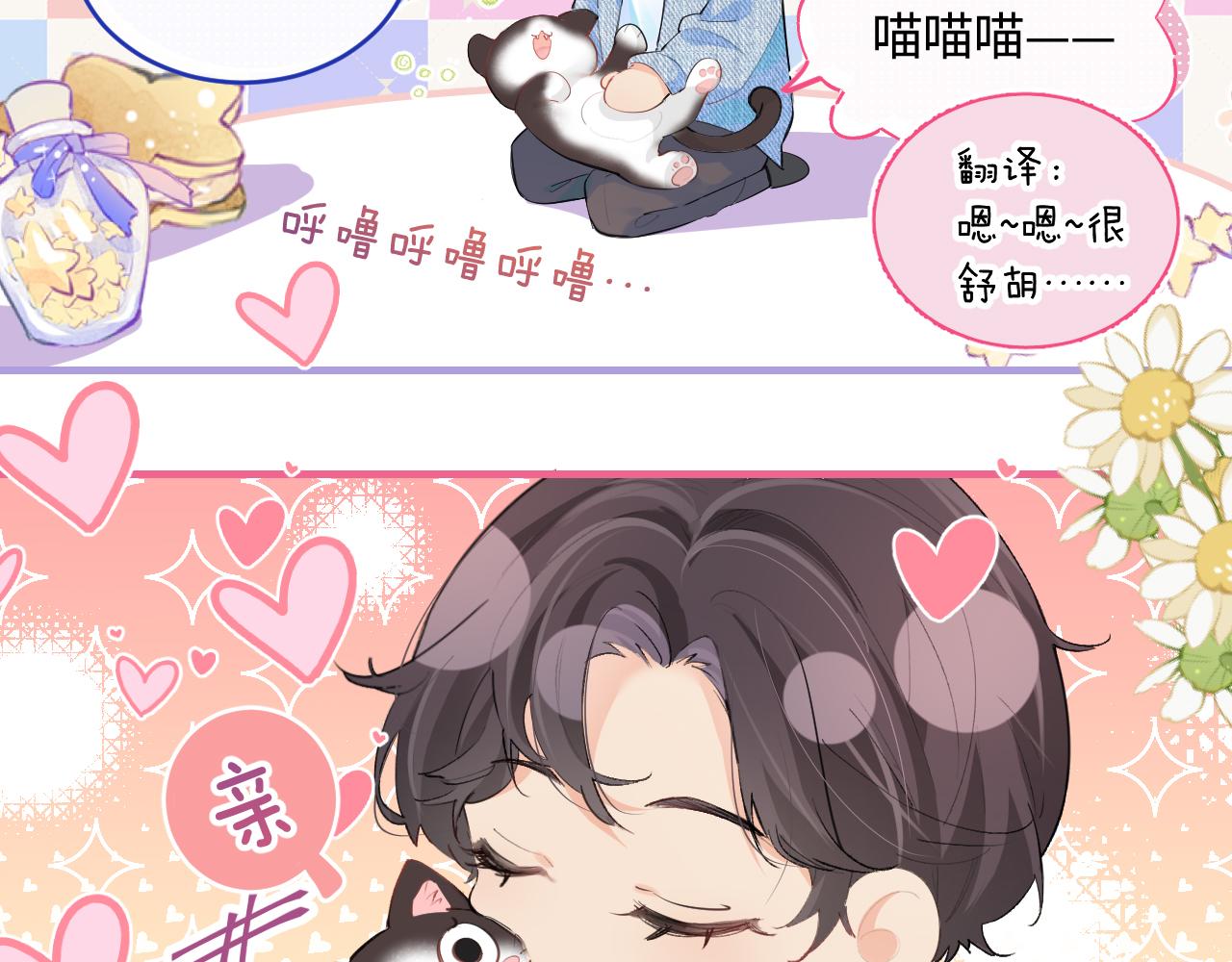 《顶流夫妇有点甜（彩蛋日更中）》第10期 小剧场三力变猫2（日更中） 第4页