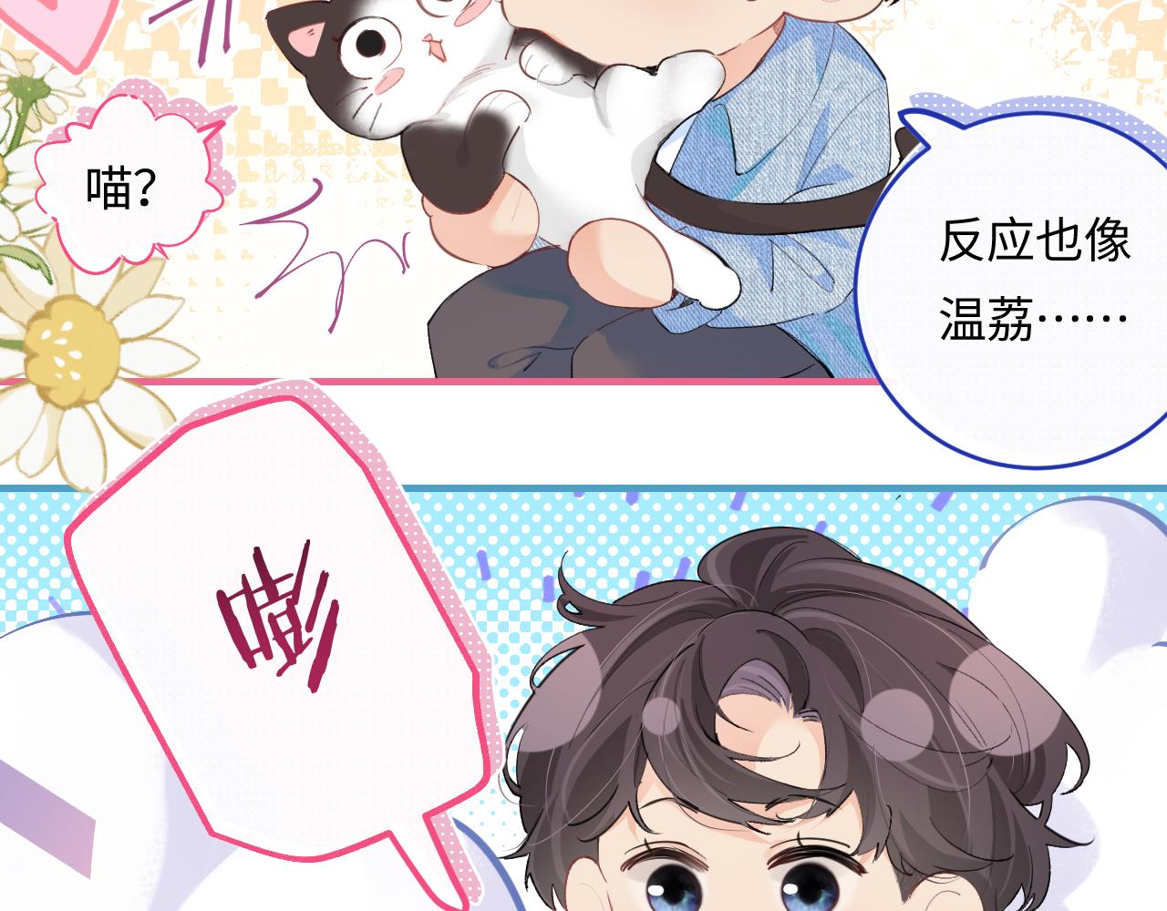 《顶流夫妇有点甜（彩蛋日更中）》第10期 小剧场三力变猫2（日更中） 第5页