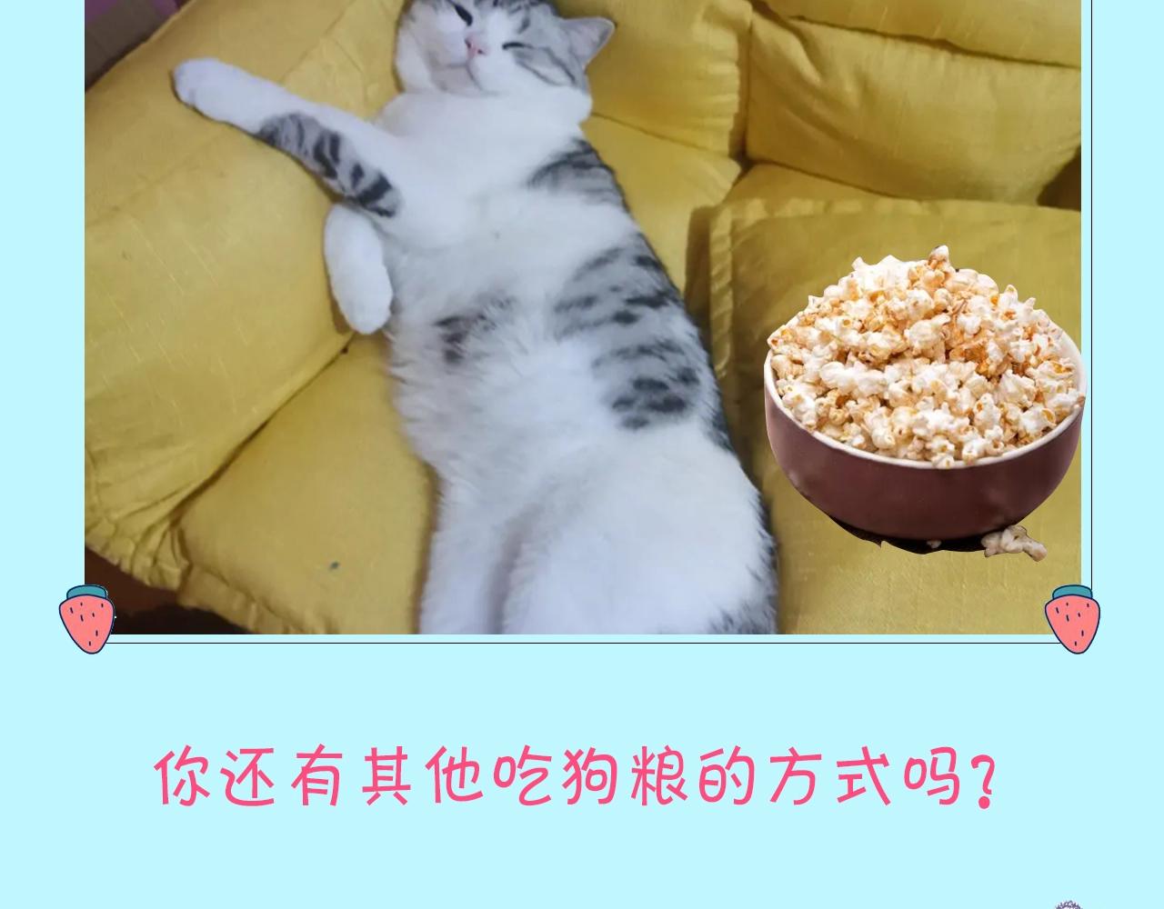 《顶流夫妇有点甜（彩蛋日更中）》第12期 吃狗粮的正确姿势（日更中） 第8页