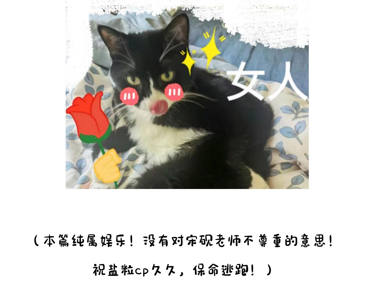 《顶流夫妇有点甜（彩蛋日更中）》第23期 宋老师舔狗修炼手册（日更中） 第44页